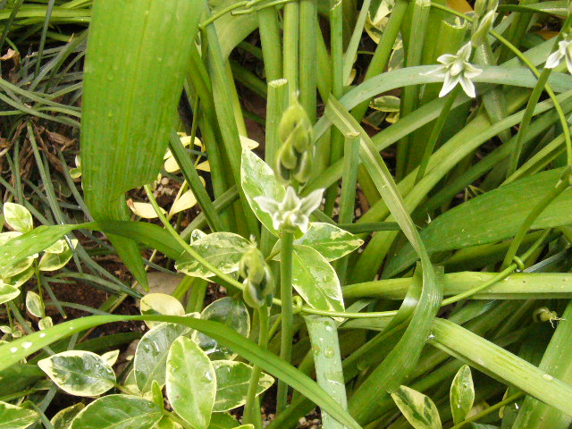 d0000324_9555626.jpg
