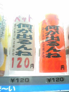a0033733_16542251.jpg