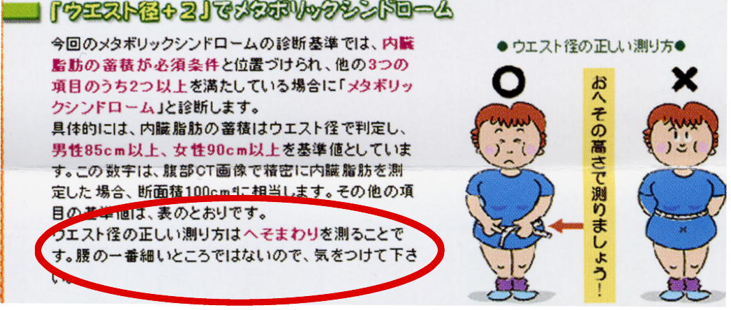 メタボリックシンドロームって・・・そんなにすごいんか?_a0007242_17482415.jpg
