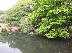e0082045_20153278.jpg