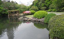 e0082045_20161632.jpg