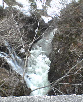 a0057149_23323585.jpg