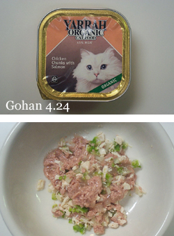 お手入れ好き_e0031853_1111274.jpg