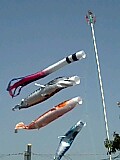 f0043861_1591734.jpg