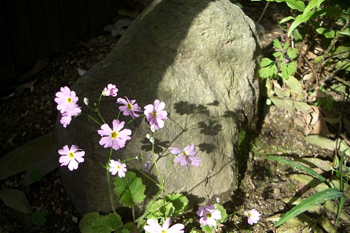 f0104569_0124794.jpg