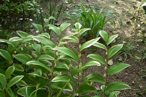 f0104569_013016.jpg