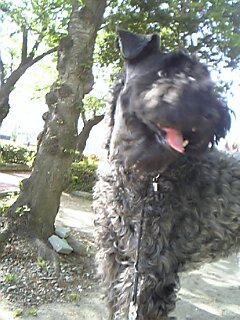 c0037701_13374211.jpg