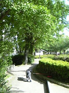 c0037701_13381525.jpg
