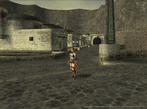 FFXI本格復帰　4.25.2006_c0054901_8552186.jpg