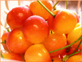 f0009120_12374258.gif