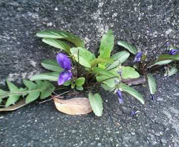 f0083021_13302760.jpg