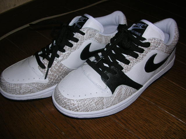 NIKEスネークパッケージ_c0063445_0481546.jpg