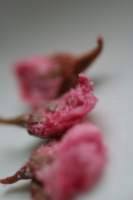 f0042548_22544392.jpg