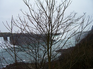 a0040554_871181.jpg