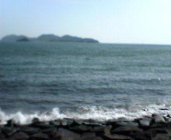 なかみ_b0079097_0275376.jpg