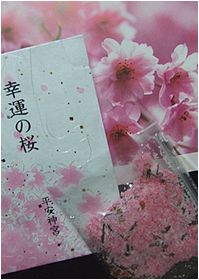 幸運の桜~京都の名残しほん・其の壱_b0067302_22361815.jpg