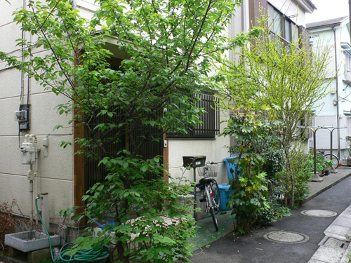 路上採取 下町(千住)の路地から学もの_b0014003_1851784.jpg