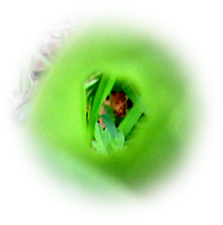 d0011713_620253.jpg