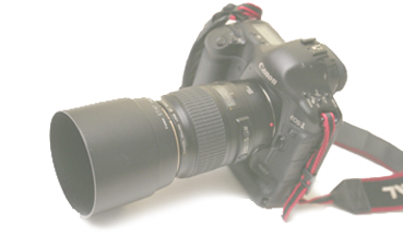 写真のいろは どんなカメラがいいの?_f0100215_11232150.jpg