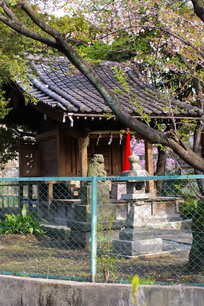 大森山王・・厳島神社と公園_b0053019_2251861.jpg