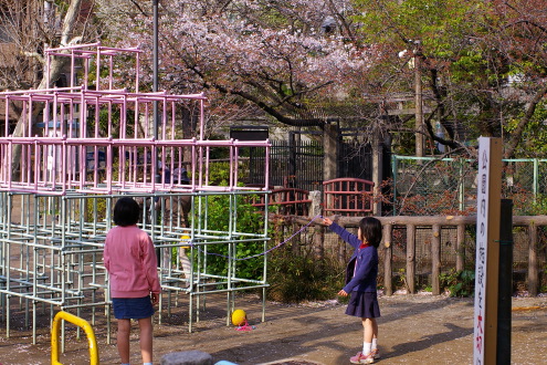 大森山王・・厳島神社と公園_b0053019_2259124.jpg