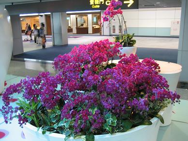 d0023835_01031.jpg