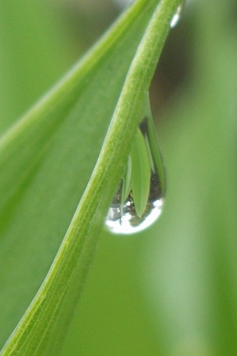 f0104569_6534048.jpg