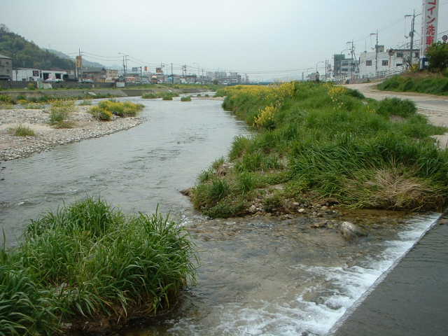 e0060485_04681.jpg