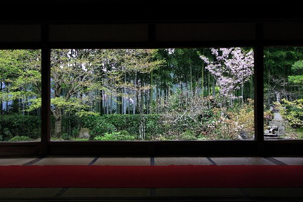 額縁庭園の春夏秋冬_e0051888_22181844.jpg