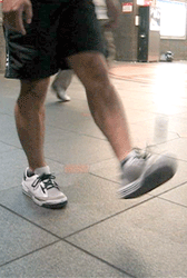 a0004993_11223975.gif