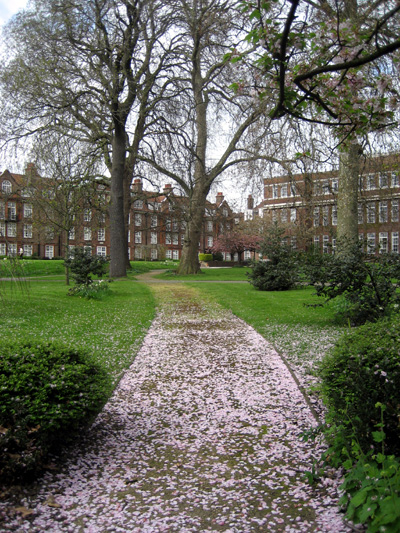 c0036998_73361.jpg