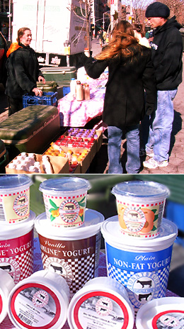 NY産の牛乳-Ronnybrook Farm Dairy_b0007805_12414734.jpg