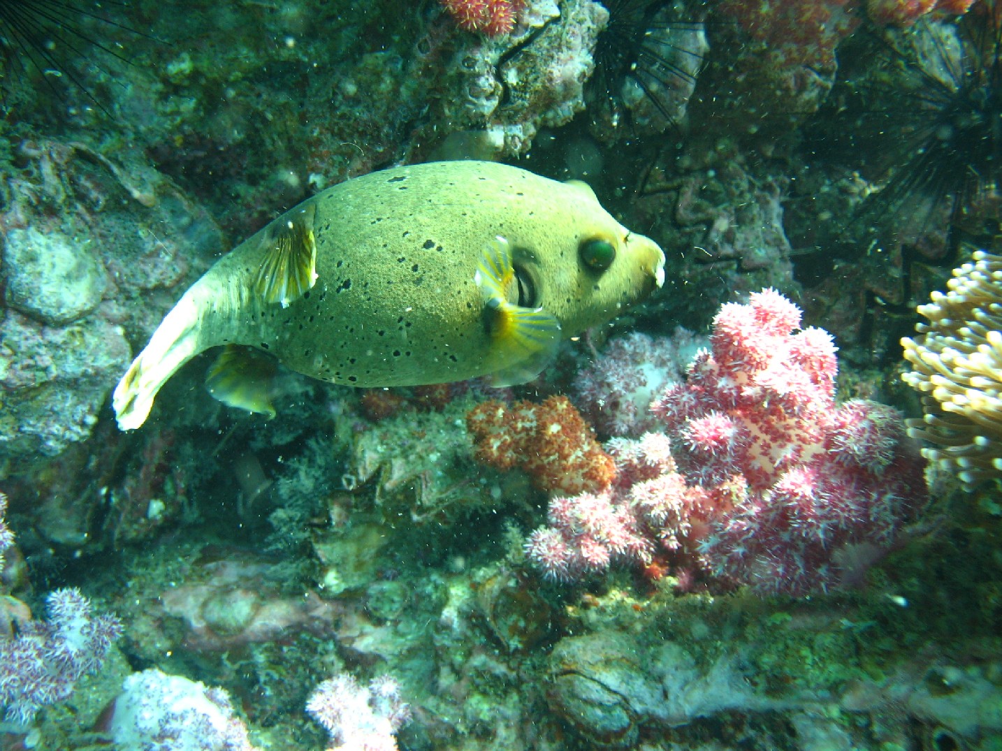 f0036409_03428.jpg