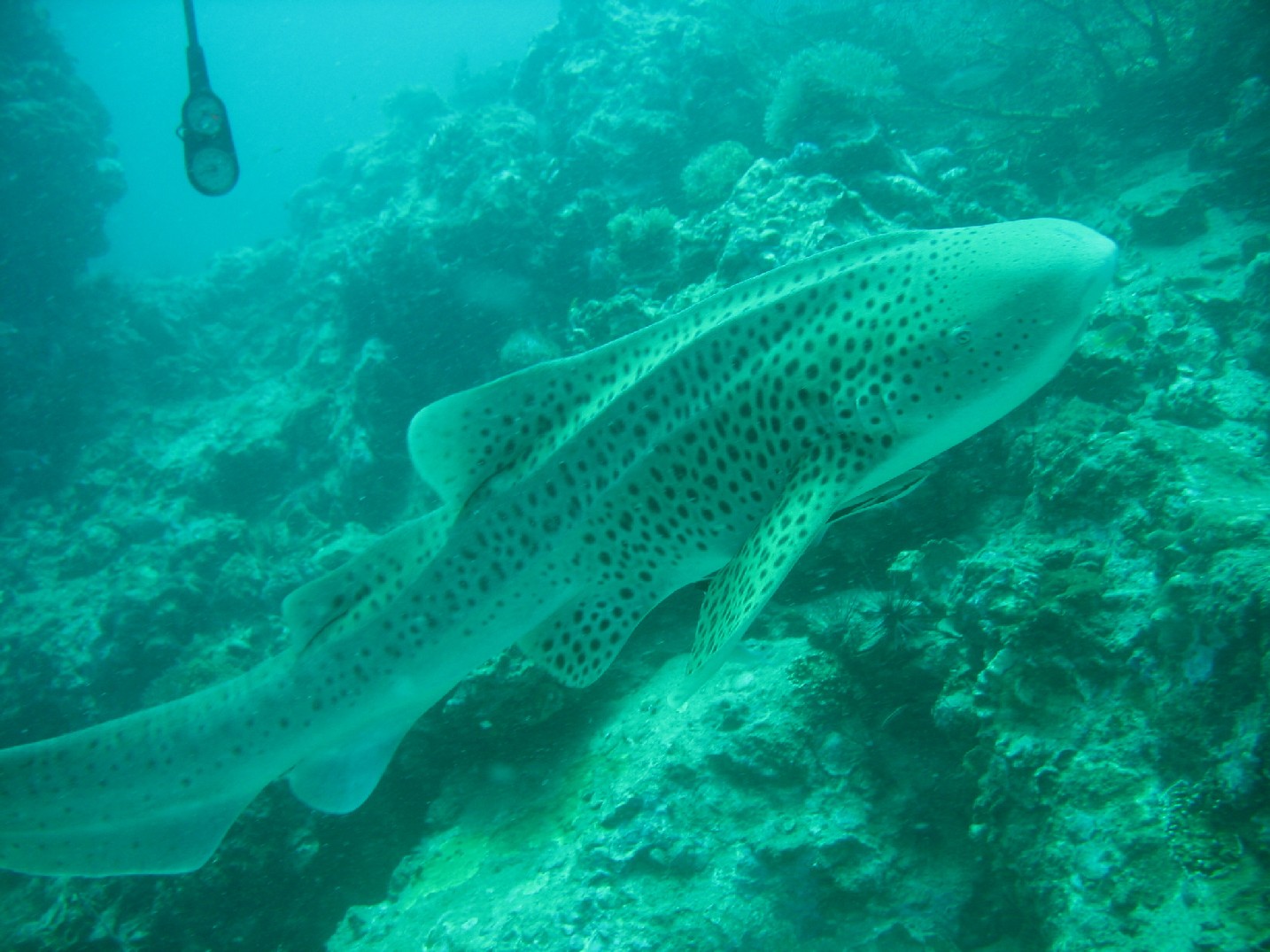 f0036409_07922.jpg