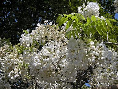 f0008510_22112747.jpg