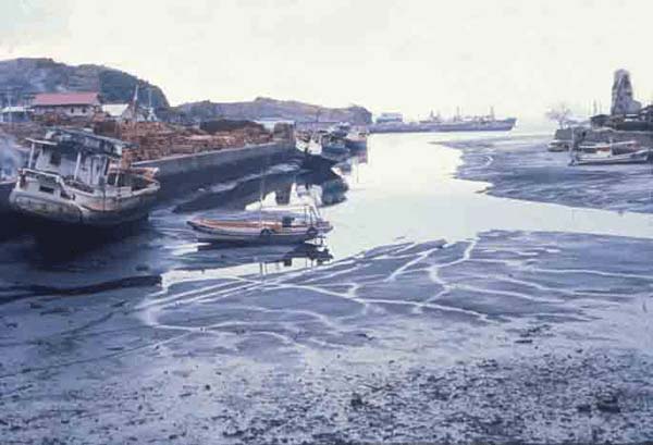 b0064726_13472269.jpg