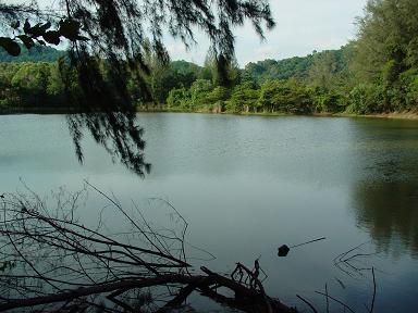 e0089238_19494319.jpg