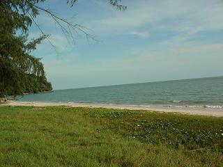 e0089238_2011025.jpg