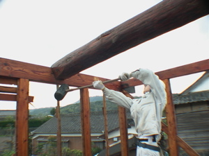 e0069646_18141569.jpg