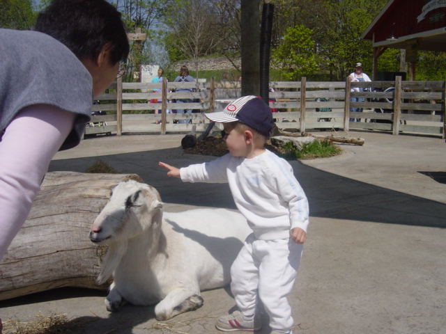 また動物園に行きました（笑）_e0029853_9492944.jpg