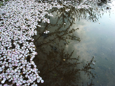 mottainai_e0082981_22514756.jpg