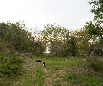f0015287_19924.jpg