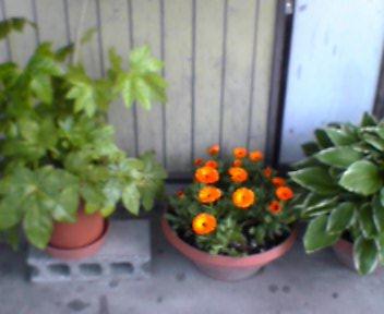 In_b0079097_104341.jpg