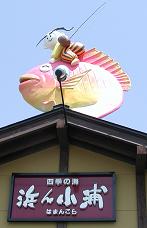 f0059498_1619143.jpg