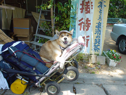 いざ、お遍路へ♪ ~キリ番さん、だあれ?~_c0049299_1123769.jpg