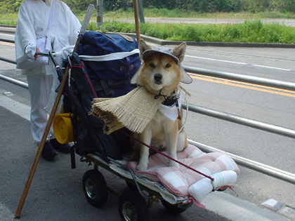 いざ、お遍路へ♪ ~キリ番さん、だあれ?~_c0049299_1125256.jpg