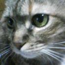 c0005007_21844.jpg