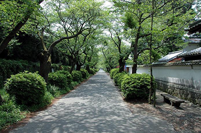 城下町 秋月_a0042310_17221036.jpg
