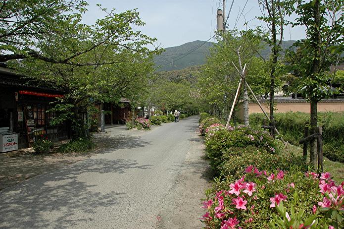 城下町 秋月_a0042310_17242677.jpg