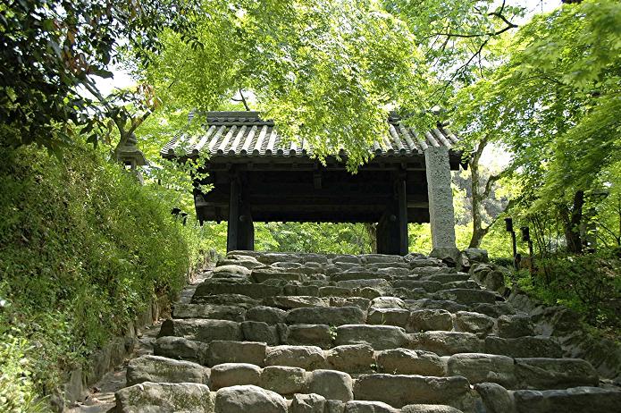 城下町 秋月_a0042310_1734539.jpg